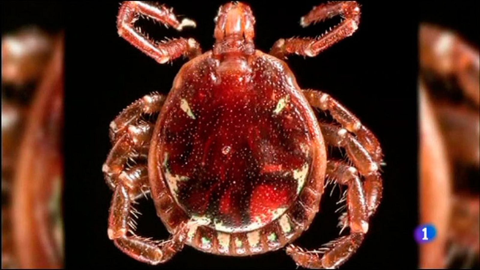 L'Informatiu 2 - 2/09/2016