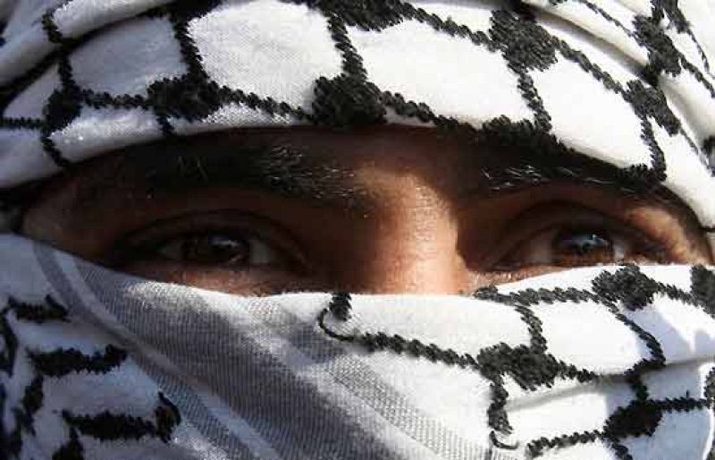 Telediario 1 en cuatro minutos - 29/12/08 | Ver