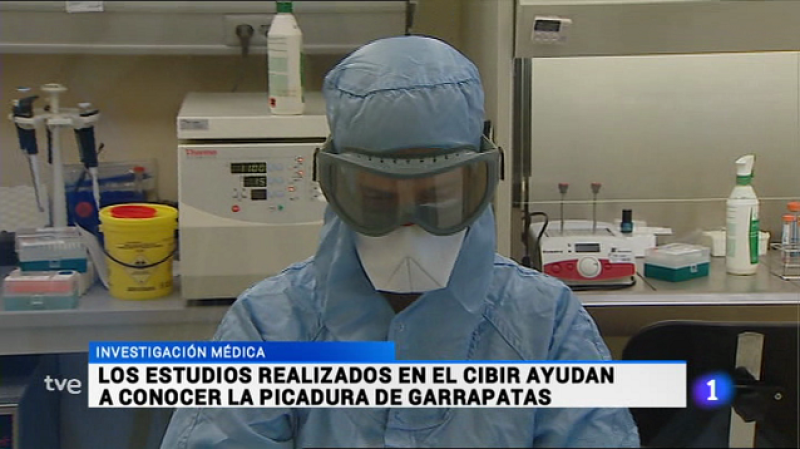 Informativo Telerioja 2 - 05/09/16