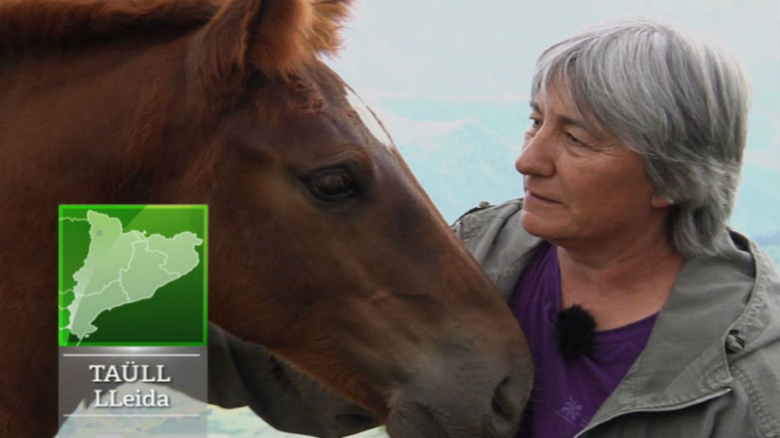 Una raza de altos vuelos