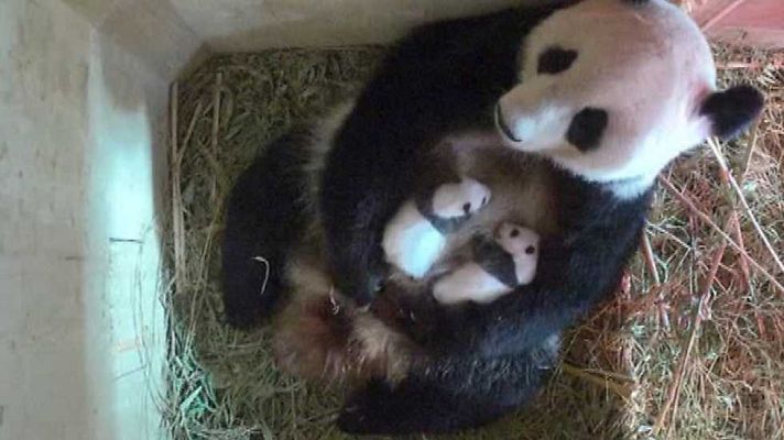 La 2 Noticias - La 2 Noticias - 06/09/16