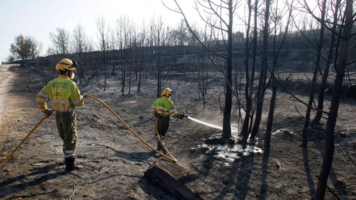 Telediario 1 - El incendio de Bolulla en Alicante queda estabilizado tras quemar 600 hectáreas