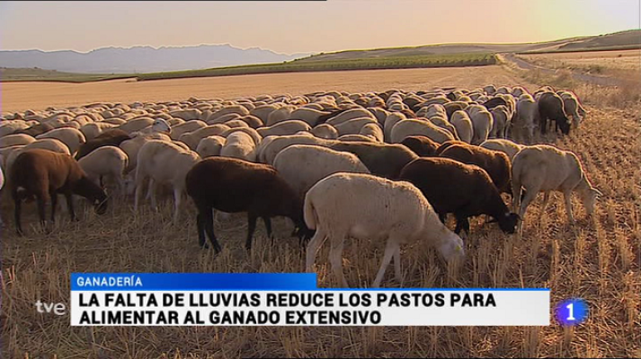 Informativo Telerioja - Telerioja en 2' - 07/09/16