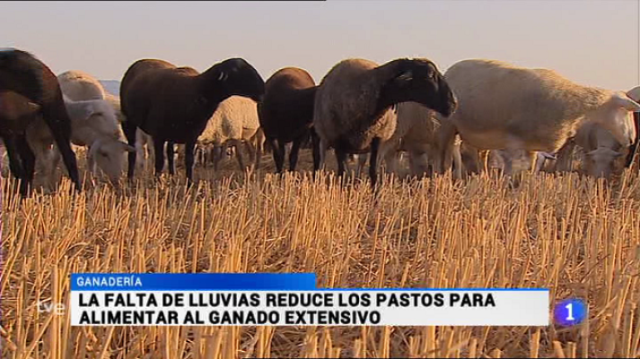 Informativo Telerioja - Informativo Telerioja 2 - 07/09/16