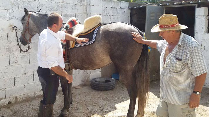 España Directo - Segorbe celebra la primera Entrada de Toros y Caballos