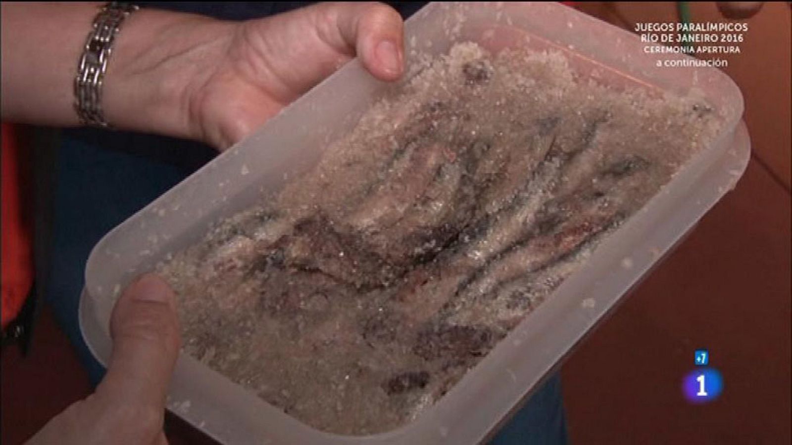 Comando Actualidad - Dar la lata - Sobar la anchoa