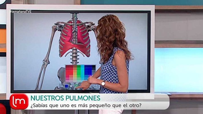 La mañana - La Mañana - 08/09/16