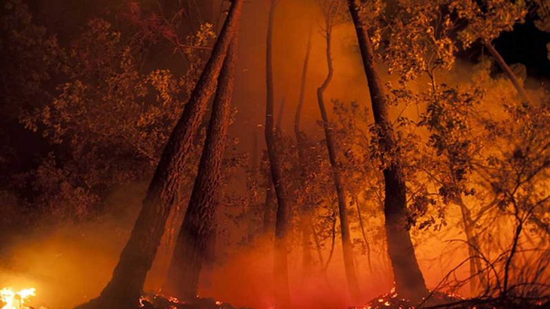 Telediario 1 en cuatro minutos - 08/09/16