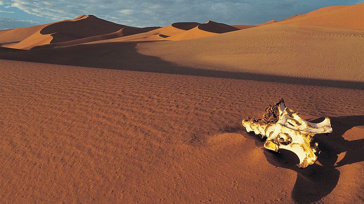 Grandes documentales - África extrema: Secarrales del sur