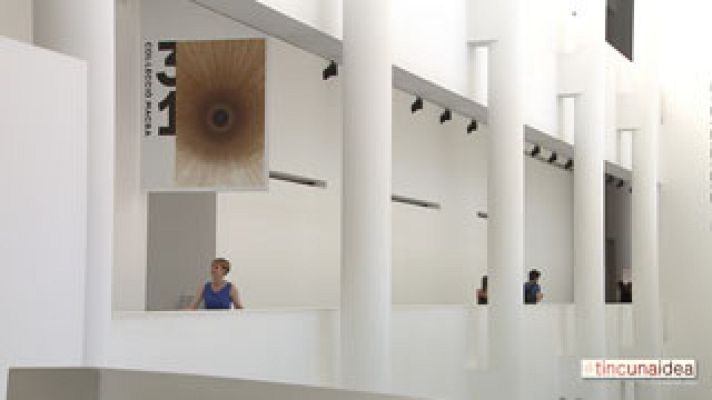 Tinc una idea - Animalear, lideratge femení ser més creatius - Avanç