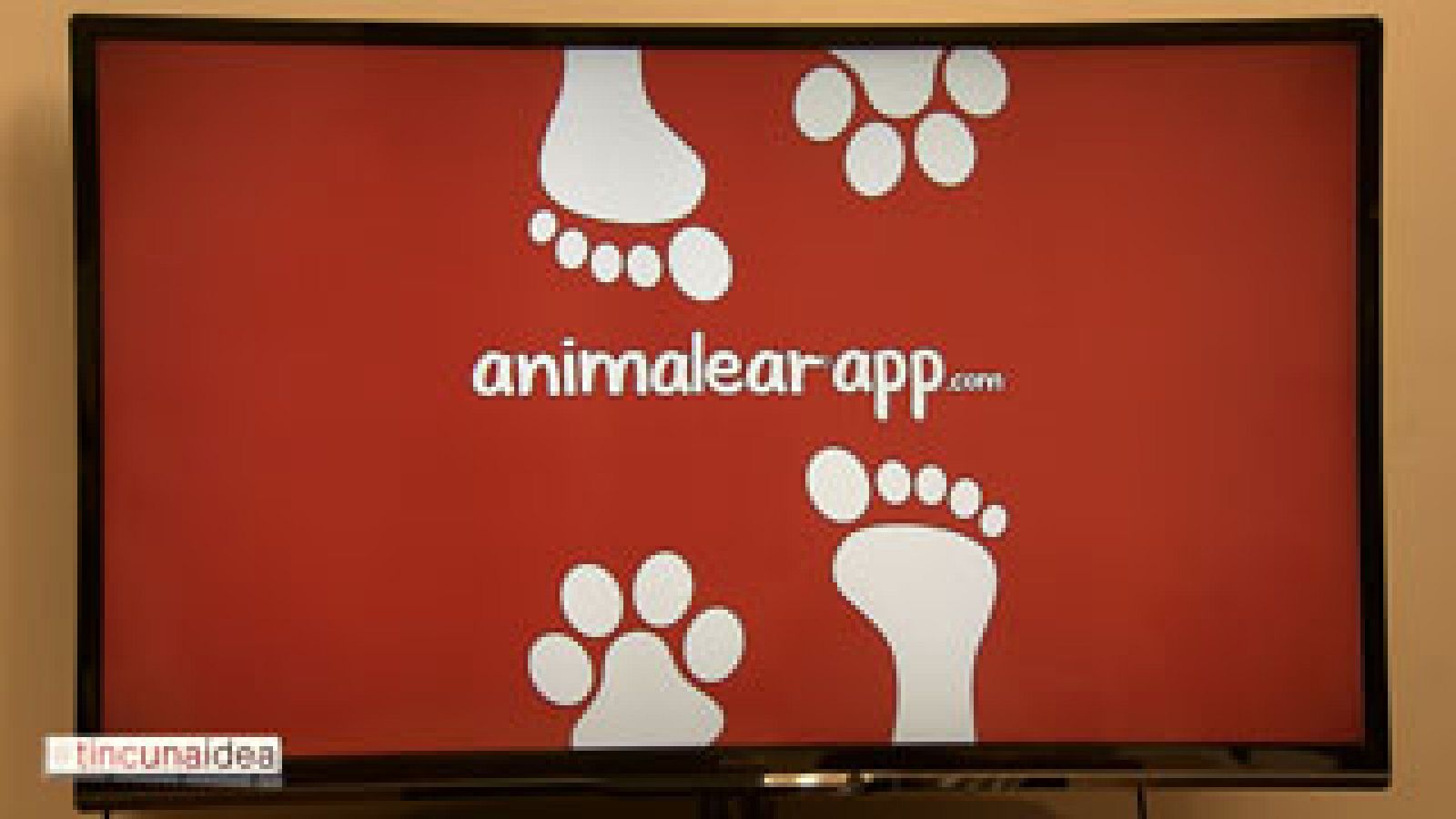 Tinc una idea - Una empresa on line de mascotes, lideratge femení i idees per ser més creatius a la feina - Avanç