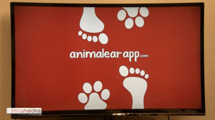 Tinc una idea - Animalear, lideratge femení ser més creatius