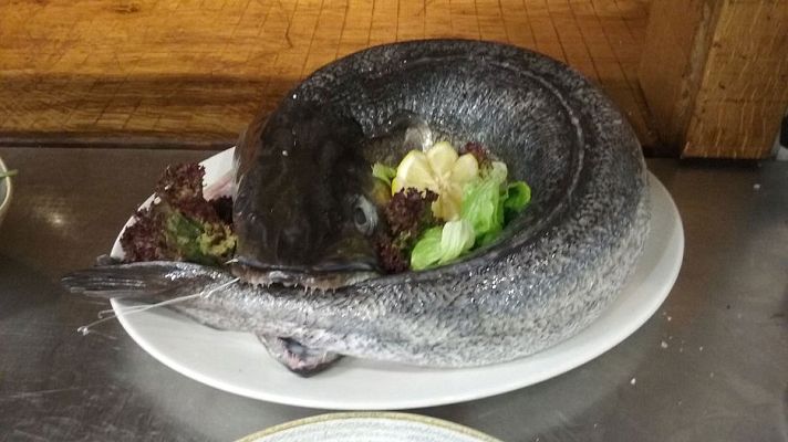 España Directo - Un día en el Basque Culinary Center