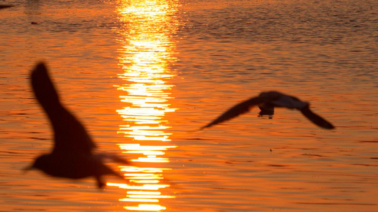 Cielos nubosos con nubes de evolución diurna en el tercio oriental peninsular y Baleares