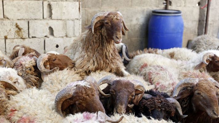 Telediario 1 - Día grande para los casi dos millones de musulmanes que residen en España