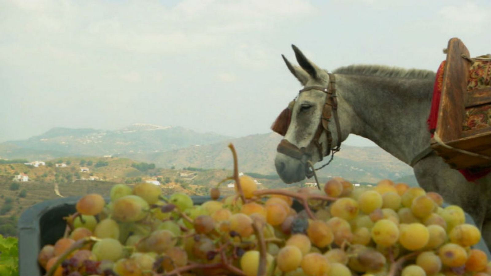 Un vino que endulza la vida
