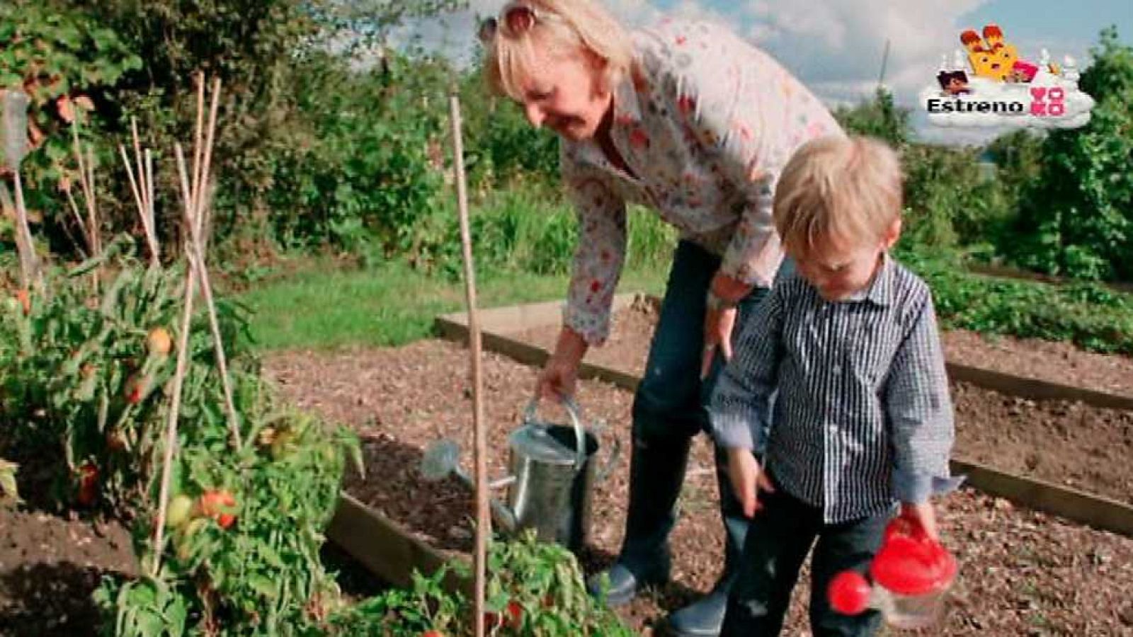 La regadera - Teletubbies | Ver