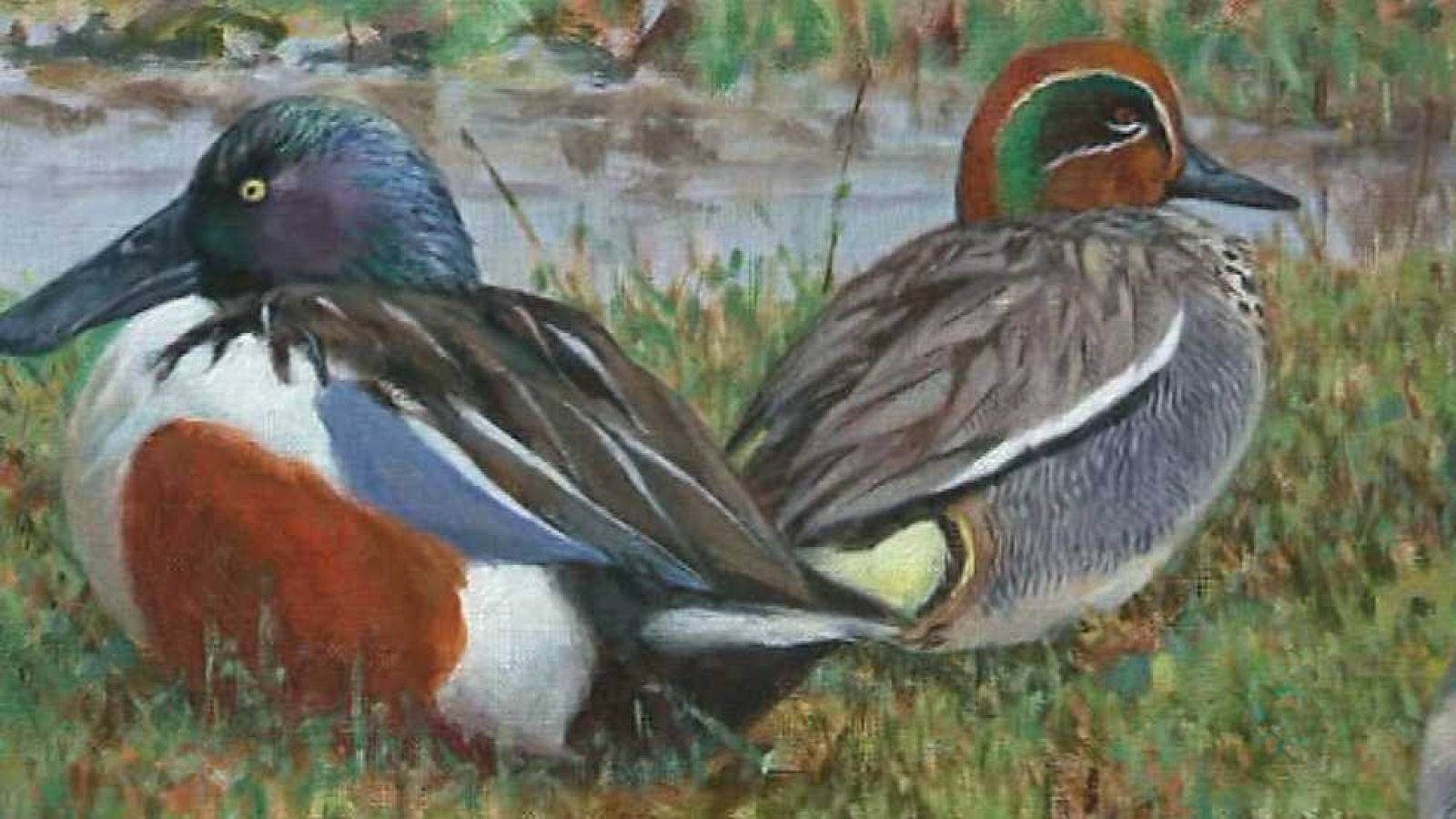 La aventura del saber - 13/09/16 - ver ahora