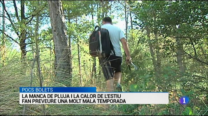 L'Informatiu - L'Informatiu - 13/09/16