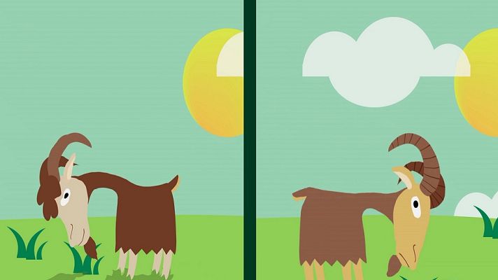 Desafía tu mente - ¿Pueden verse estas cabras sin moverse?