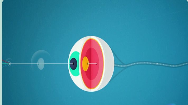 Desafía tu mente - ¿Cómo percibimos los colores?