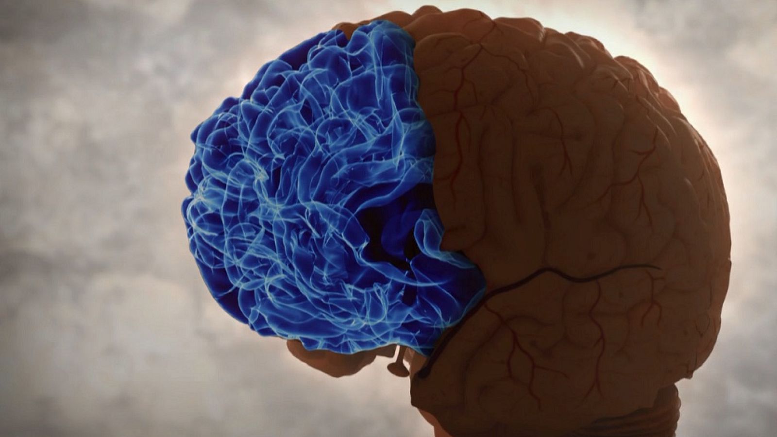 Desafía tu mente - El cerebro tiene características de ambos sexos