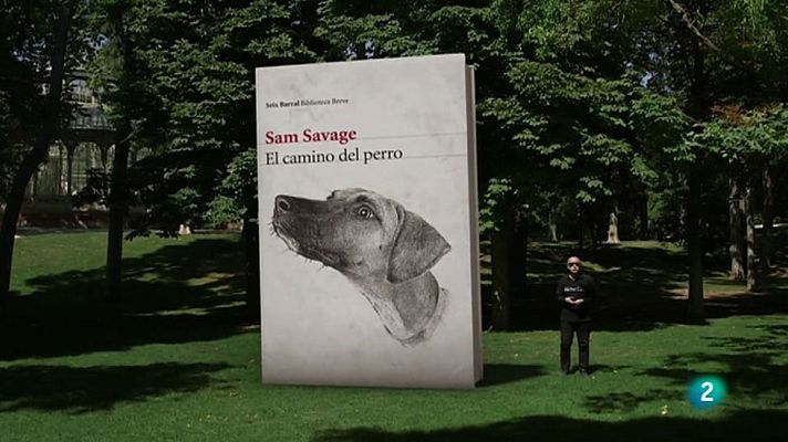 Página Dos - Las recomendaciones del programa