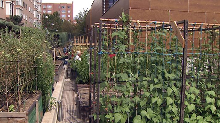 Informativo de Madrid - La Comunidad de Madrid en 4' - 15/09/16