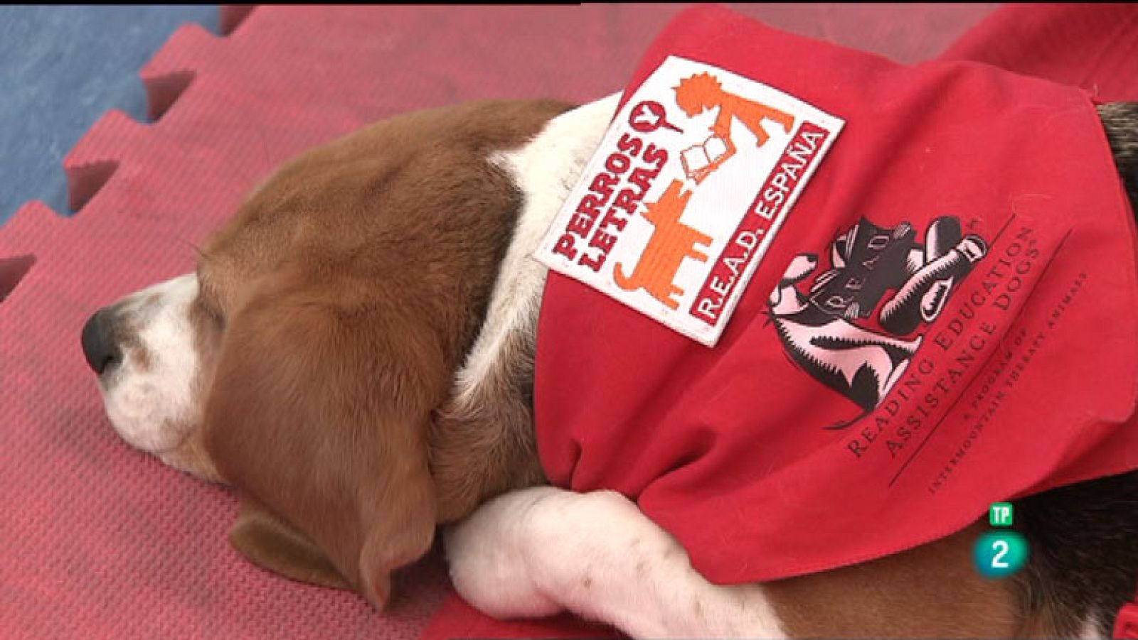 La Aventura del Saber. TVE. Perros y letras