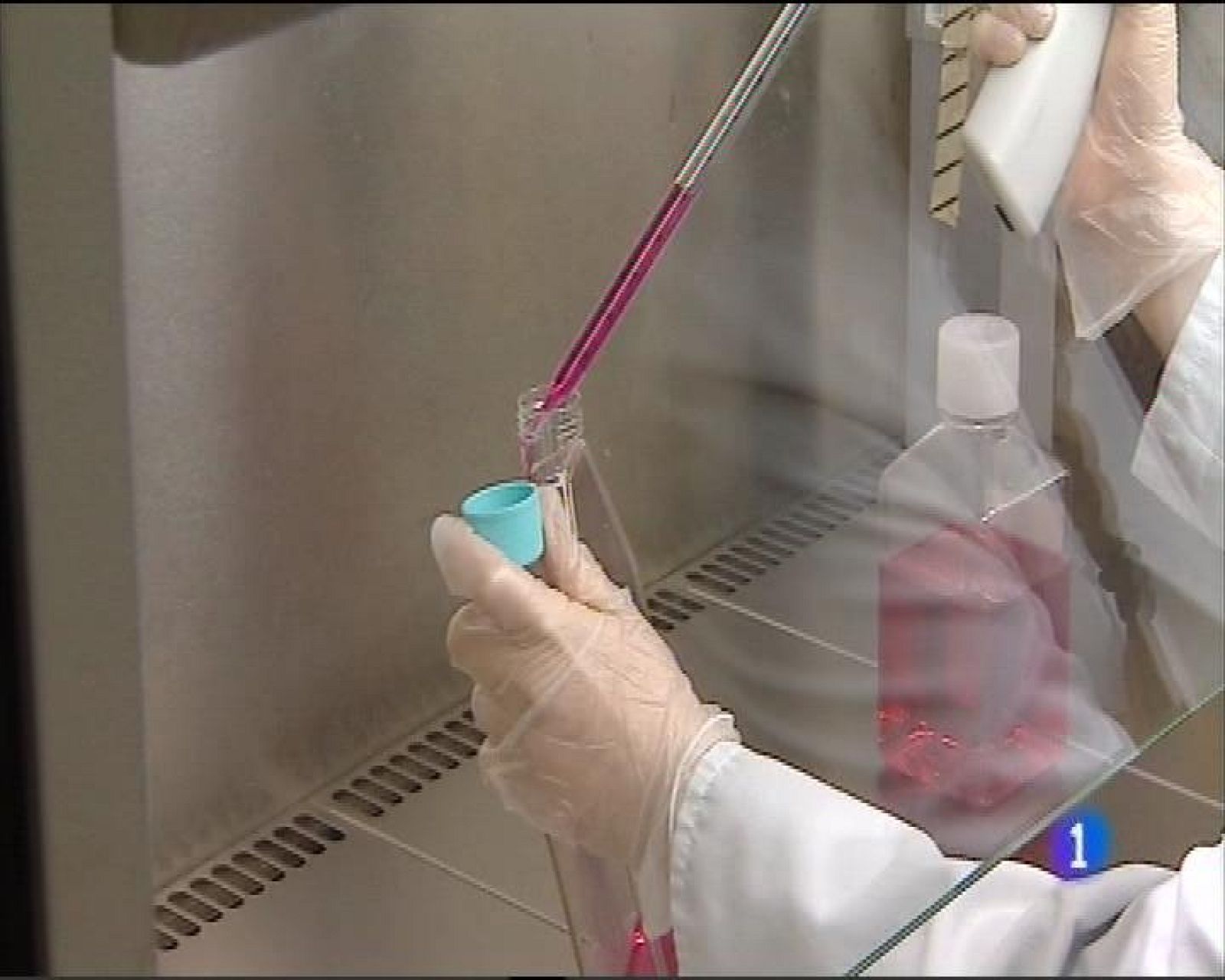 Panorama Regional 2  - 15/09/16 | Ver