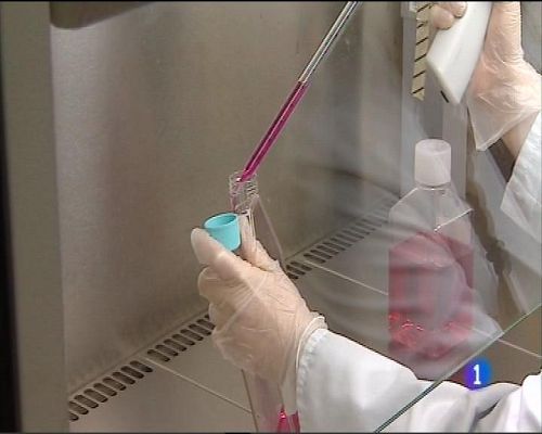 Panorama Regional - Panorama Regional 2  - 15/09/16