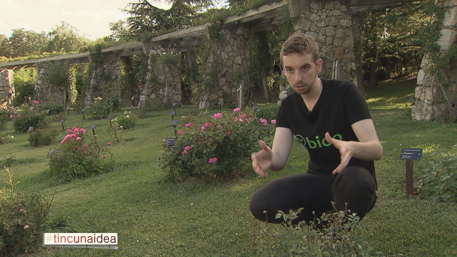 Tinc una idea - Bioo, una empresa que carrega un mòbil a partir d¿una planta i Eloi Palà ,president de l'AIJEC