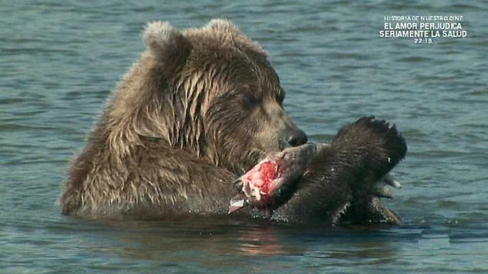 Grandes documentales - Patrimonio de la humanidad:Volcanes de Kamchatka (Rusia) (2)