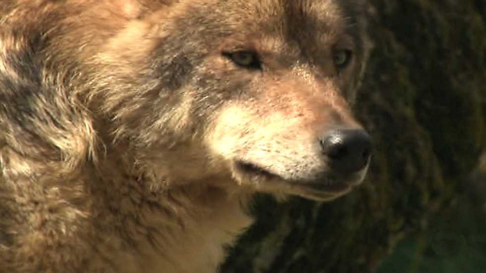 España en comunidad - 17/09/16 - ver ahora