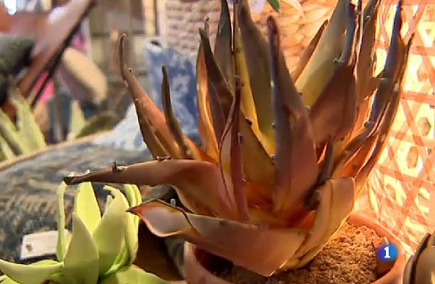 L'Informatiu - Visitem l'Expohogar 2016 a la Fira de Barcelona