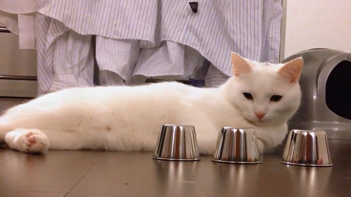 Desafía tu mente - ¿En qué vaso se esconde la bola?