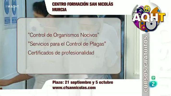 Aquí hay trabajo - 4 Cursos GRATIS, 3 con certificado de profesionalidad