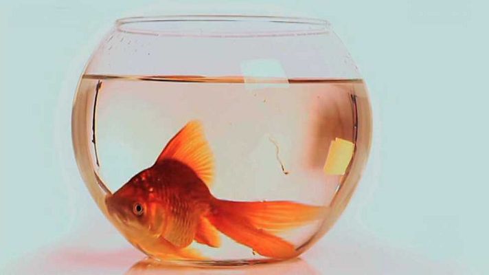 Desafía tu mente - Desafía tu mente - 19/09/16