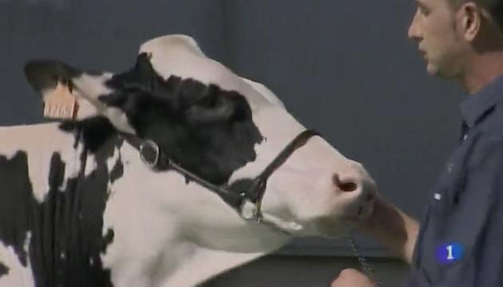 Asturias en 2' - 20/09/16 | Ver