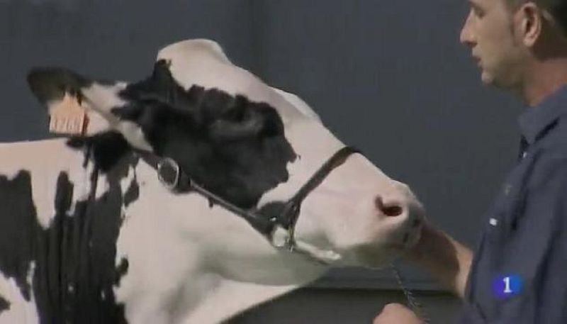 Asturias en 2' - 20/09/16 | Ver