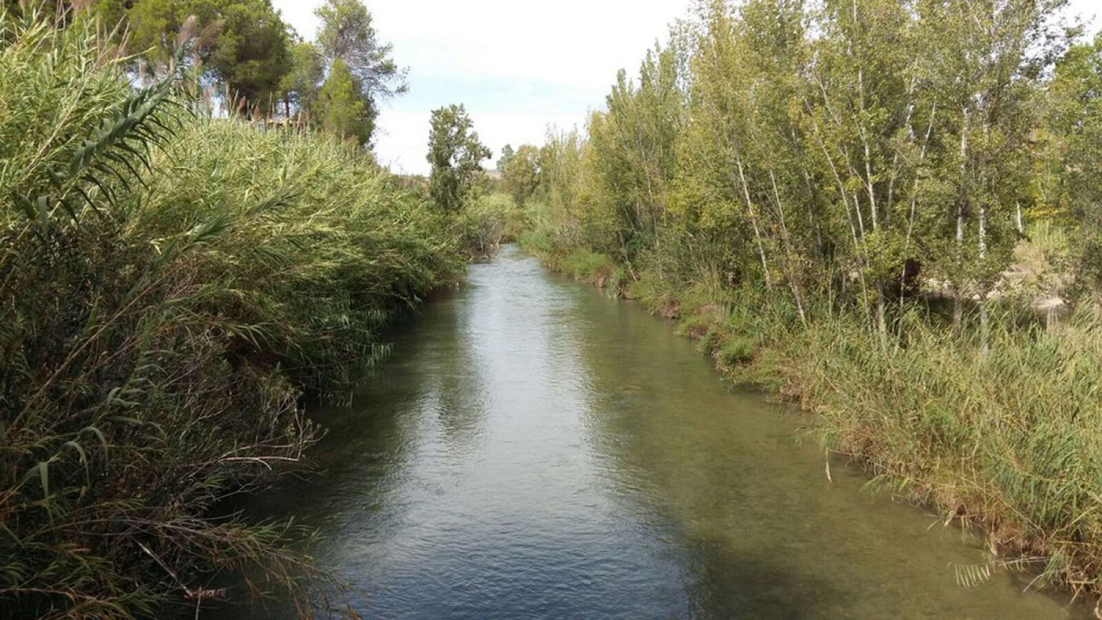 Un día en el Parque Natural del Turia