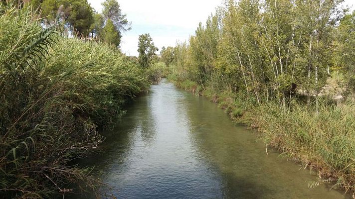 España Directo - Un día en el Parque Natural del Turia