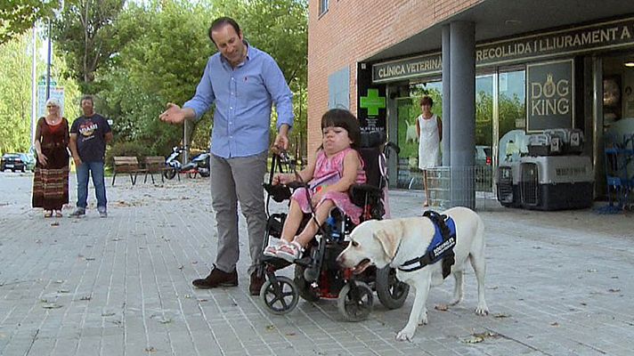 España Directo - Un perro terapeuta