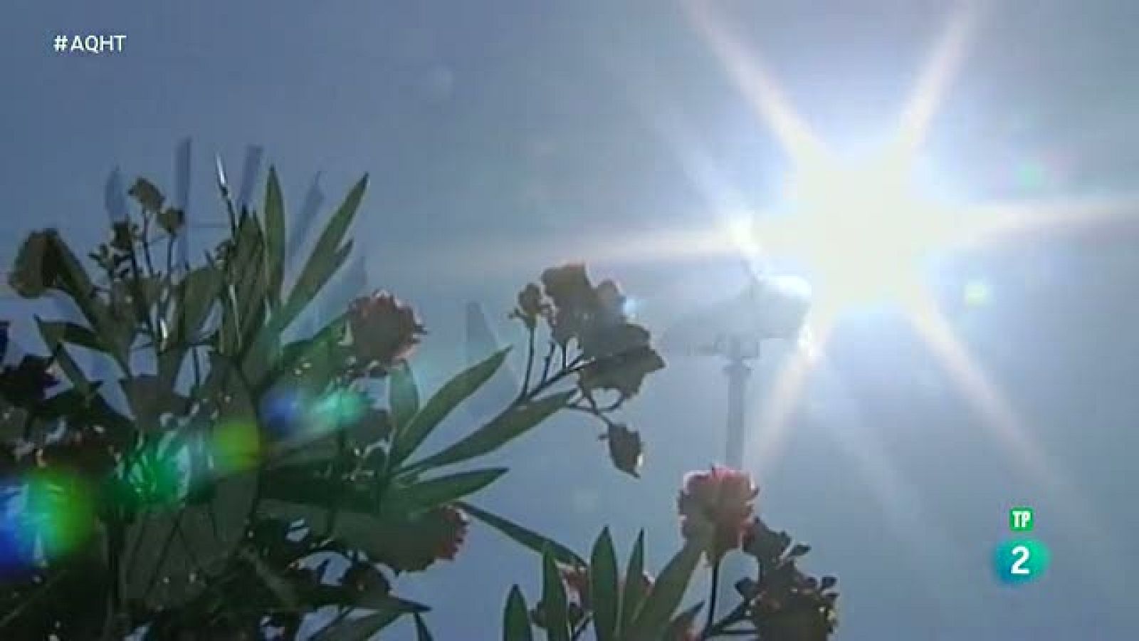 El trabajo en las energías renovables - Aquí hay trabajo | Ver