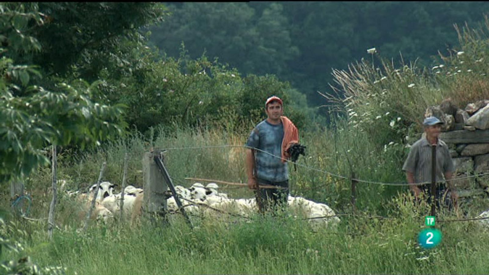 La Aventura del Saber. TVE. Obrador Xisqueta