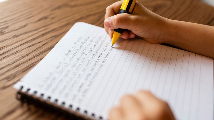 Telediario 1 - La CEAPA propone una "huelga de deberes" en noviembre