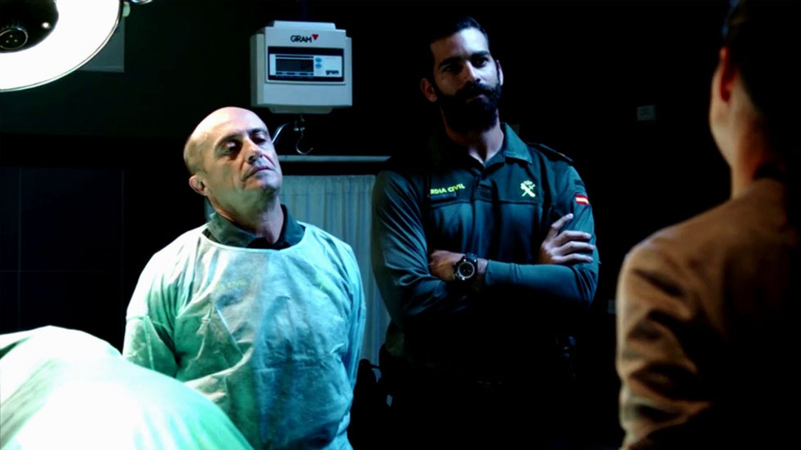 Olmos y Robles - Analizando el misterio del bosque