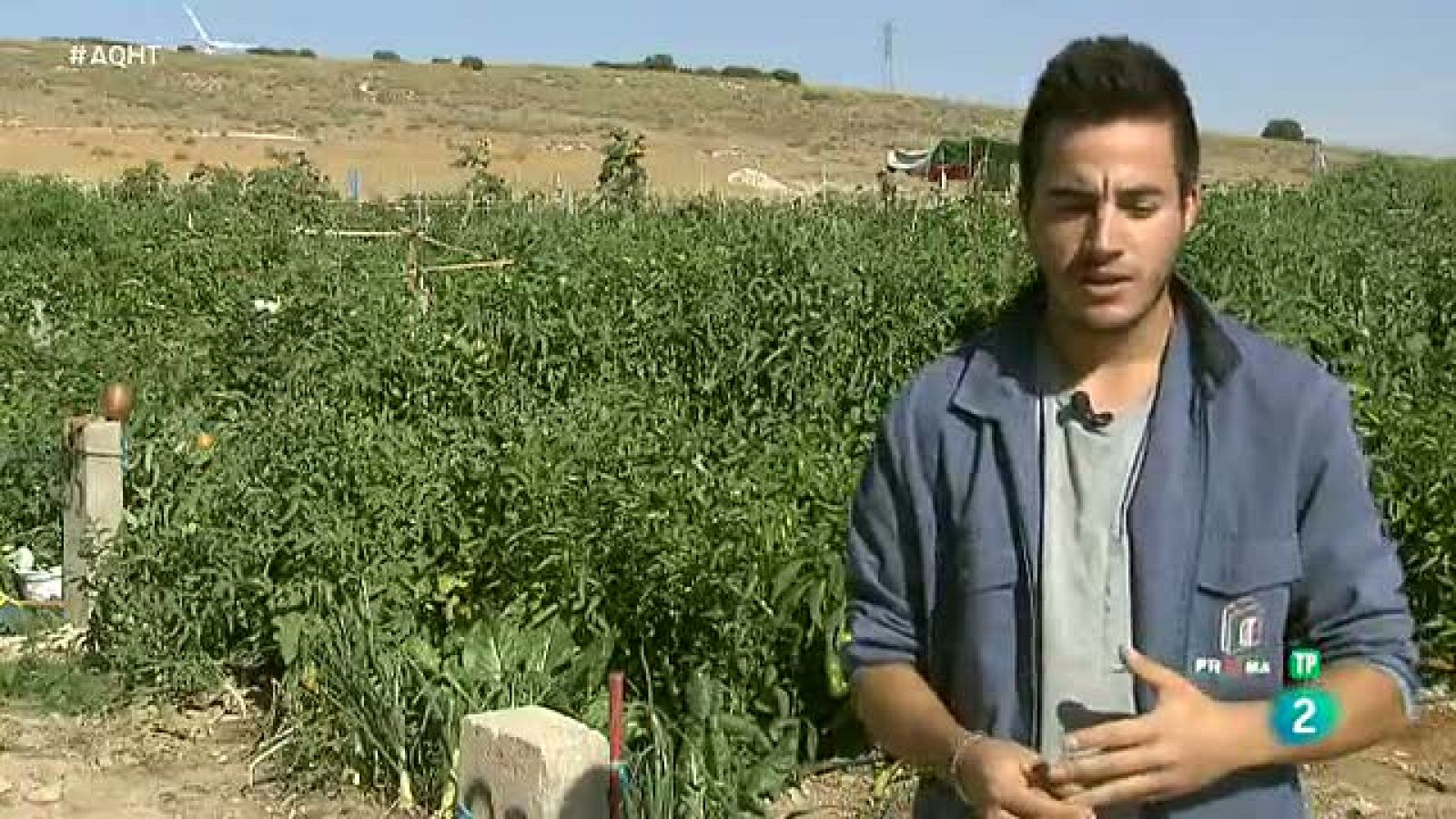 20.000 huertos urbanos donde también se cultiva empleo - Aquí hay trabajo | Ver