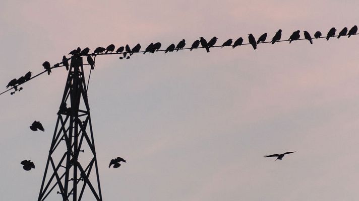 El tiempo - El último fin de semana de septiembre estará marcado por lluvias que afectarán al noroeste peninsular y Cataluña
