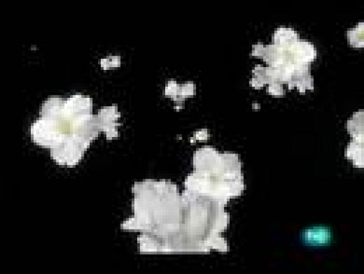  - El jardín de los sueños